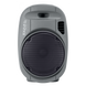 Мобильная акустическая система Ibiza PORT12VHF MKII